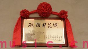 南阳大红花|红绸花|精美大红花制作 揭幕大红花 高端定制(图4) 南阳大红花|红绸花|精美大红花制作 揭幕大红花 高端定制(图4)